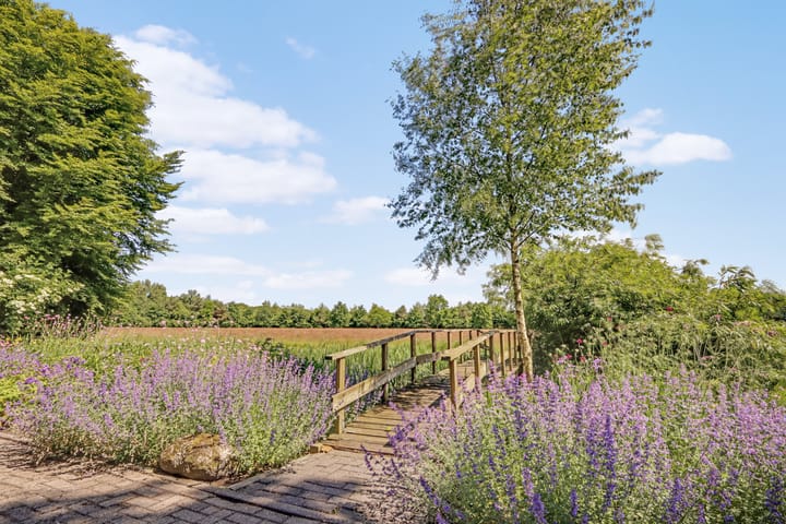 Foto 59 van Lutswâl 11