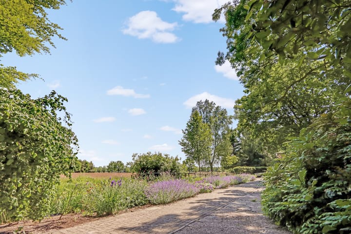 Foto 58 van Lutswâl 11