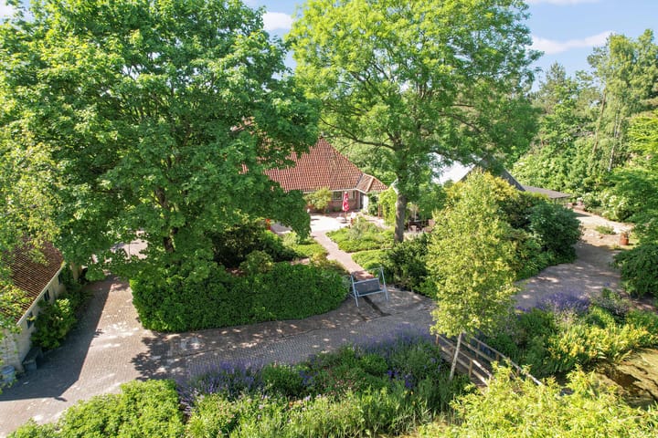 Foto 47 van Lutswâl 11