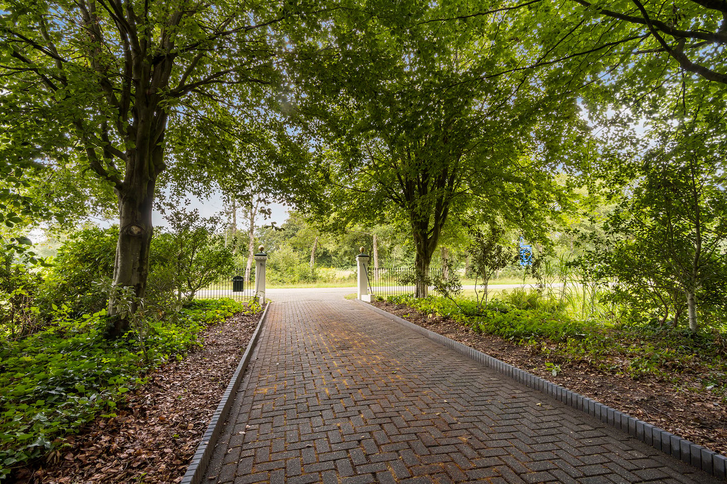 Photo 10 of Lutswâl 11