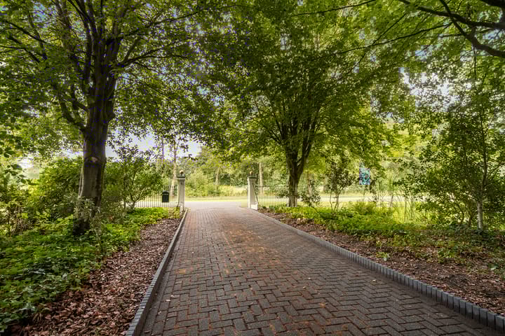 Foto 10 van Lutswâl 11