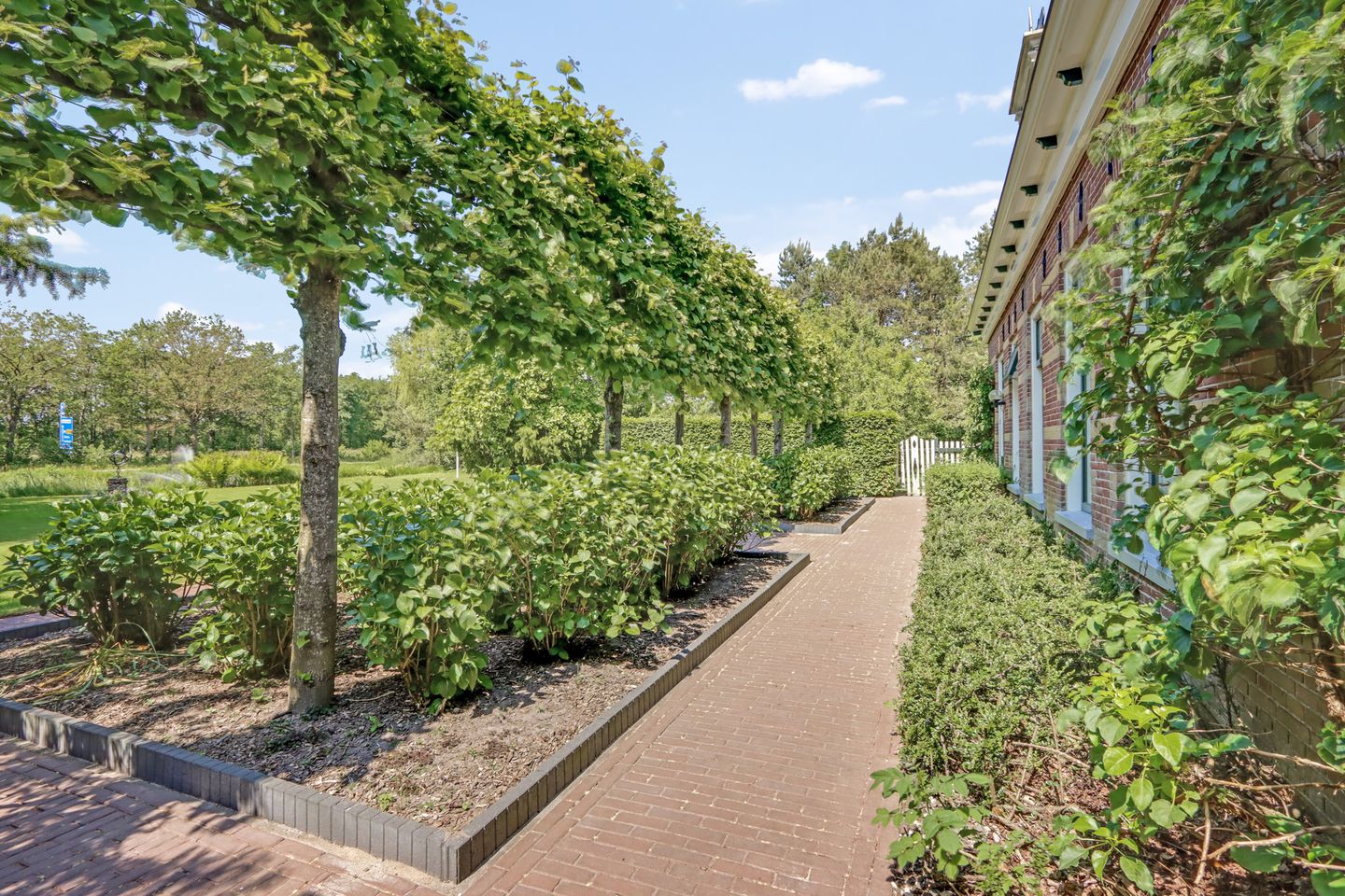 Lutswâl 11 - Ruigahuizen - Afbeelding 7