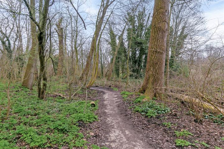 Bekijk foto 38 van Kramatweg 61-E