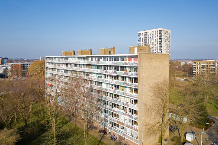 View photo 19 of Zangvogelweg 10