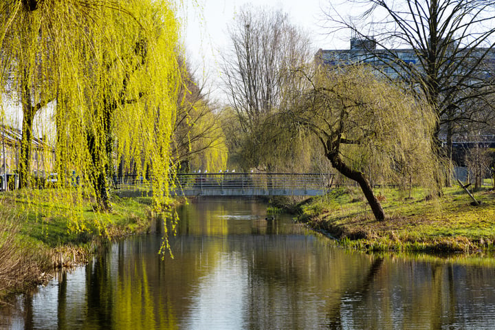 View photo 24 of Zangvogelweg 10