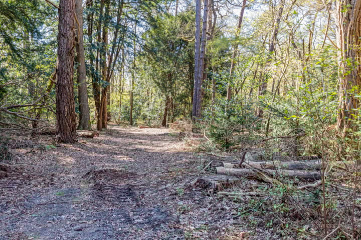 Photo 10 of Noodweg 27