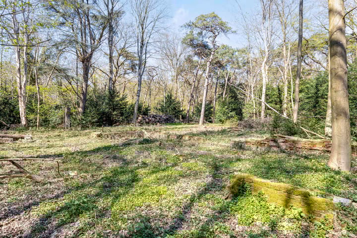 Photo 8 of Noodweg 27