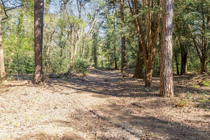 Photo 6 of Noodweg 27