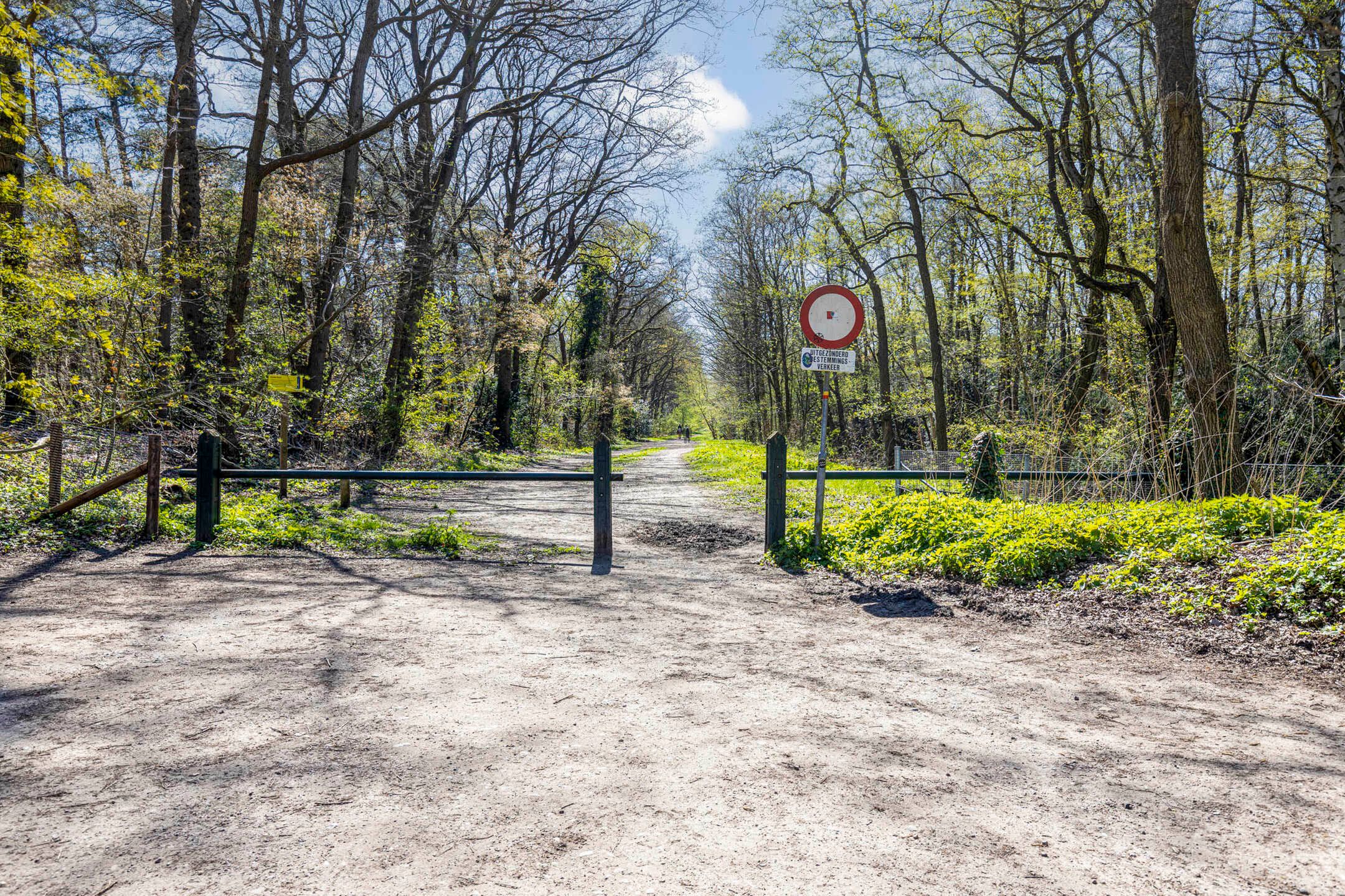 Photo 12 of Noodweg 27