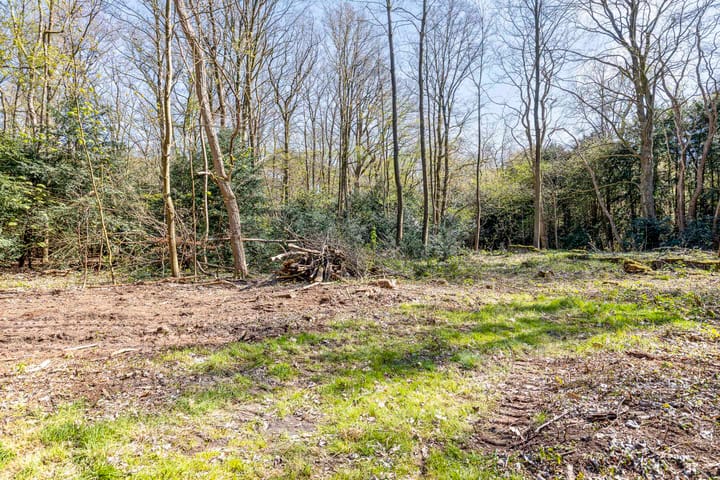 Foto 9 van Noodweg 27