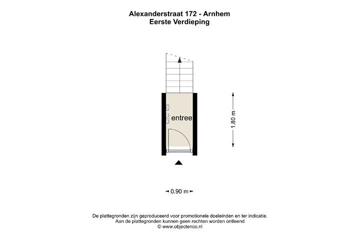 Bekijk foto 43 van Alexanderstraat 172