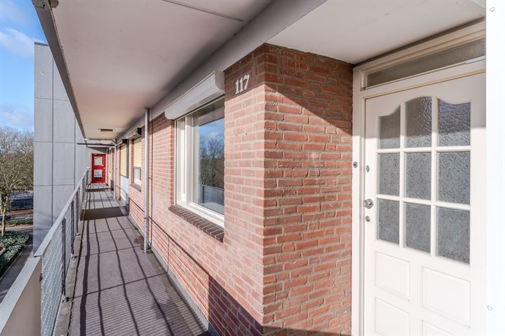 Bekijk foto 4 van Cederstraat 117