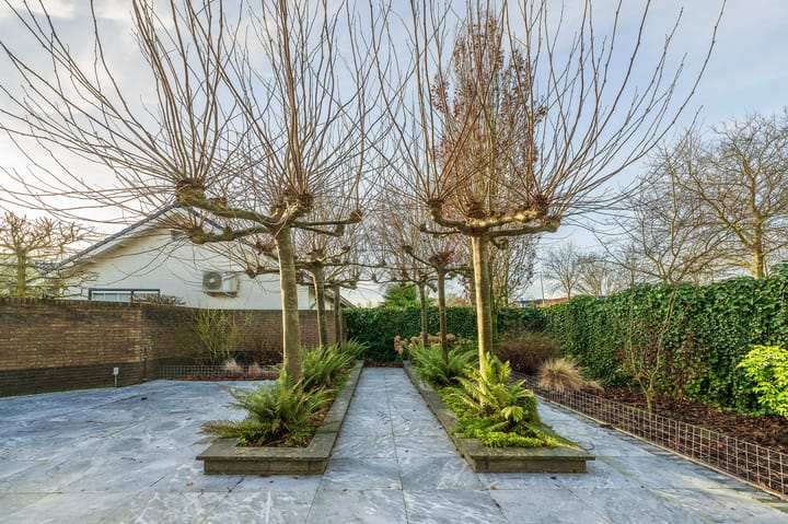 Foto 10 van Rembrandtstraat 8