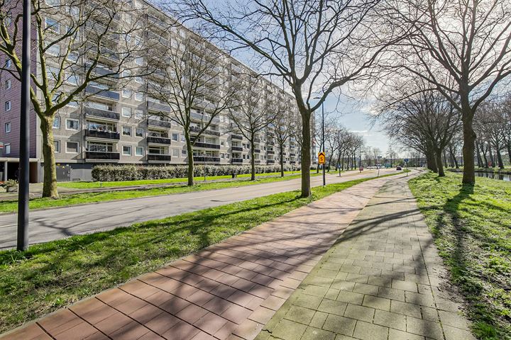 Bekijk foto 22 van Lepelaarsingel 190