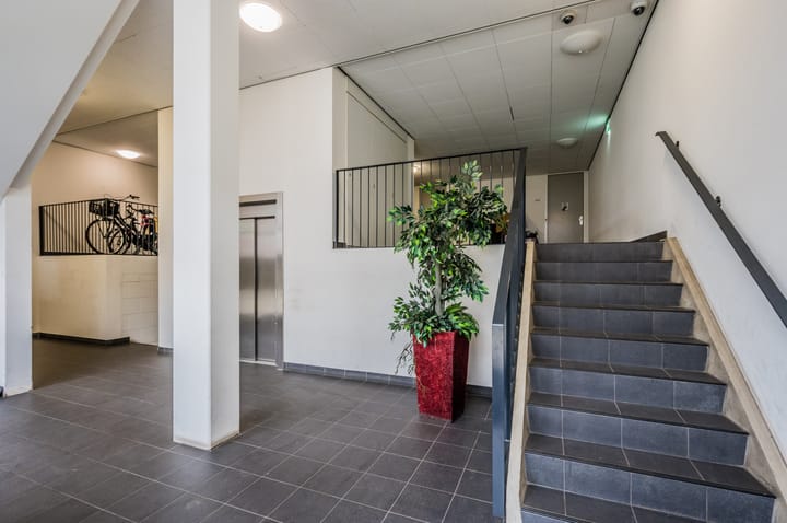 Foto 3 van Pieter Calandlaan 1121