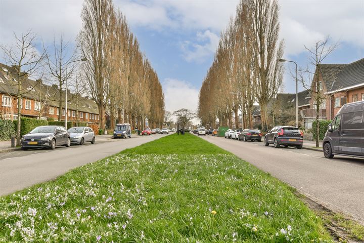 Bekijk foto 41 van Keizer Karelweg 417