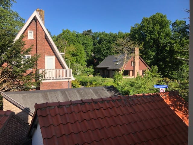 Photo 52 of Duinlustparkweg 52