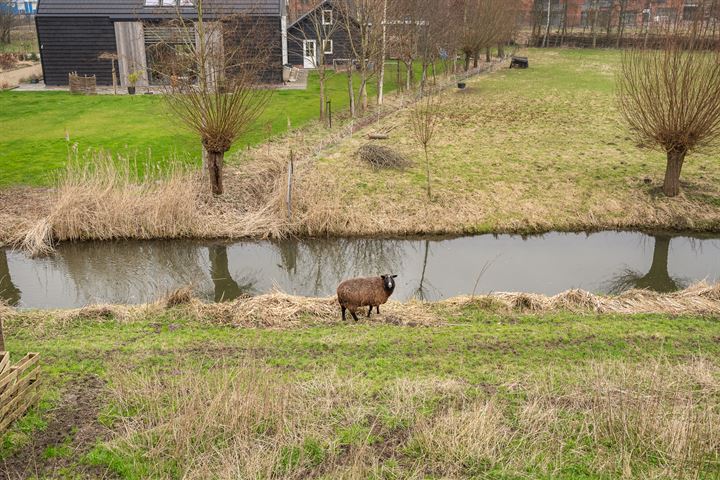 Bekijk foto 52 van Wieldrechtse Zeedijk 34