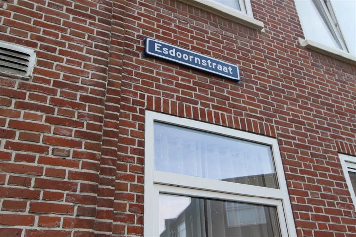 Bekijk foto 4 van Esdoornstraat 18