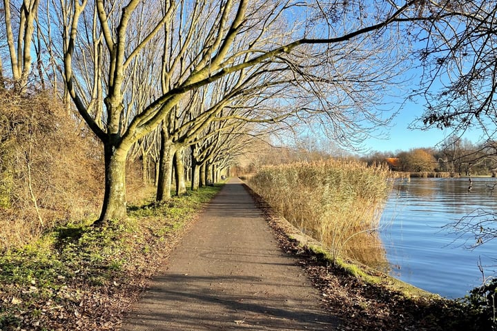 Bekijk foto 4 van Venusstraat 74