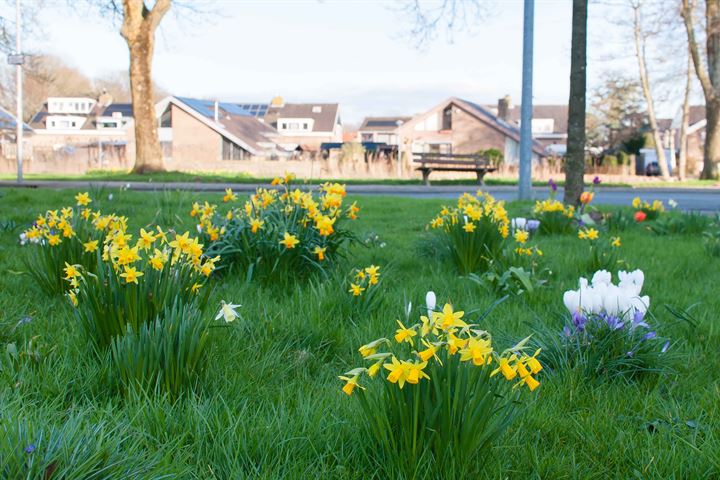 Bekijk foto 43 van Beltmolen 26