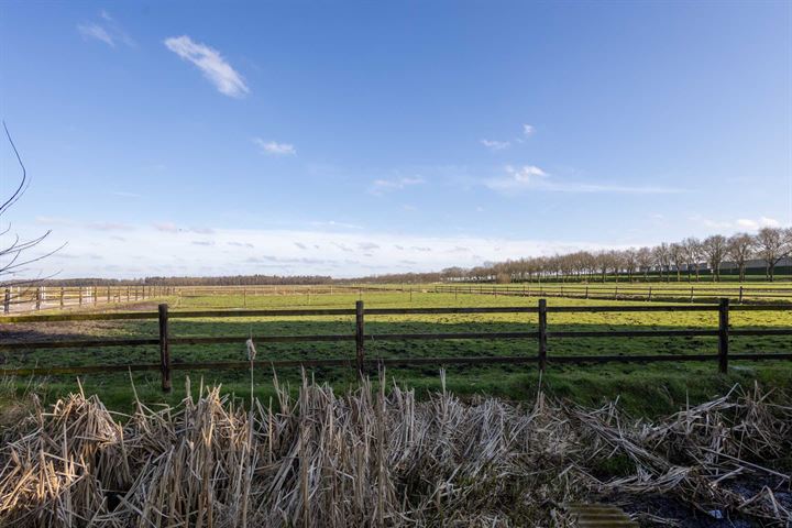 Bekijk foto 3 van Noordbroeksterstraat 83