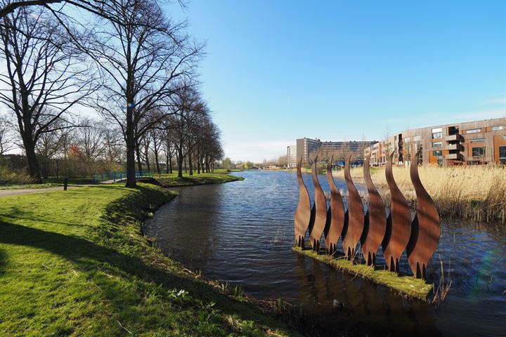 Bekijk foto 4 van Zonnedauw 9