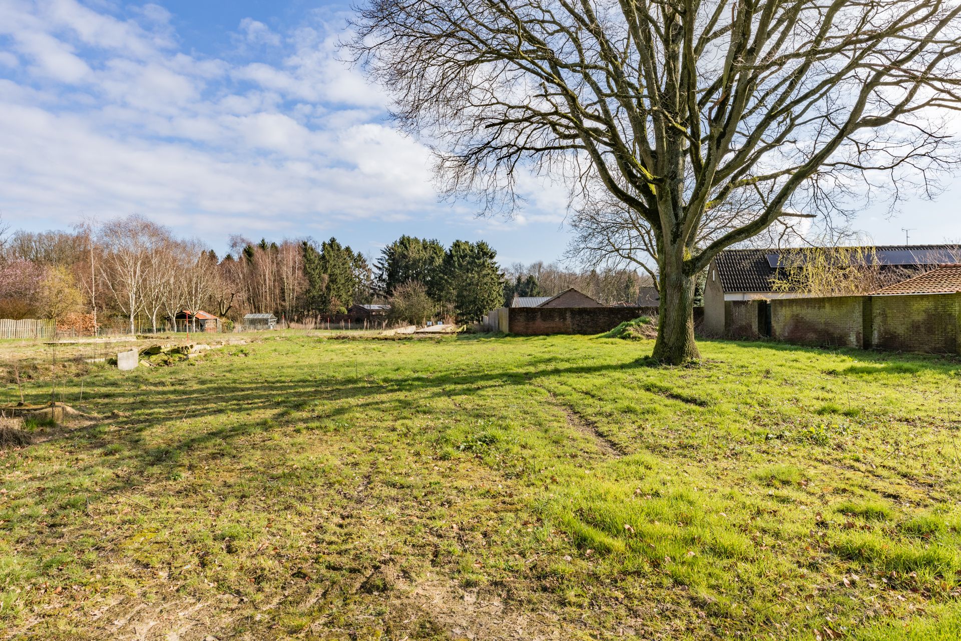 Foto 6 van Zandoerle/Zandoerleseweg