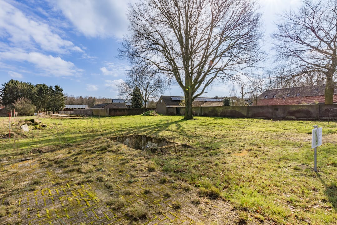 Foto 7 van Zandoerle/Zandoerleseweg