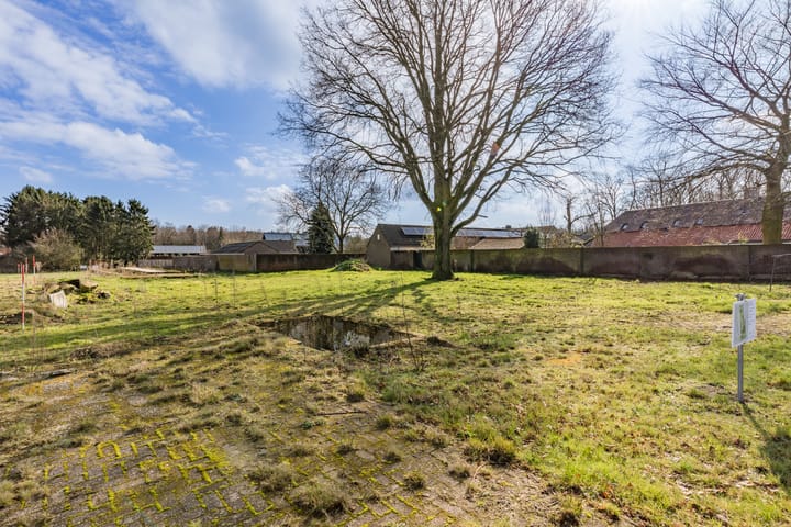 Foto 7 van Zandoerle/Zandoerleseweg