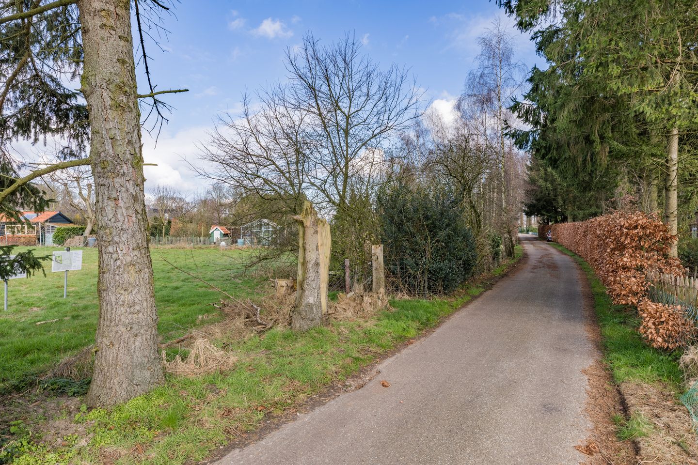 Foto 20 van Zandoerle/Zandoerleseweg