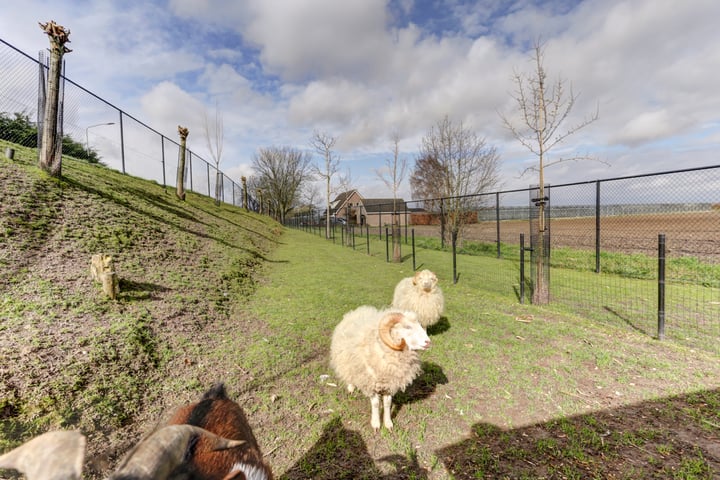 Bekijk foto 5 van Oude Heijningsedijk 8