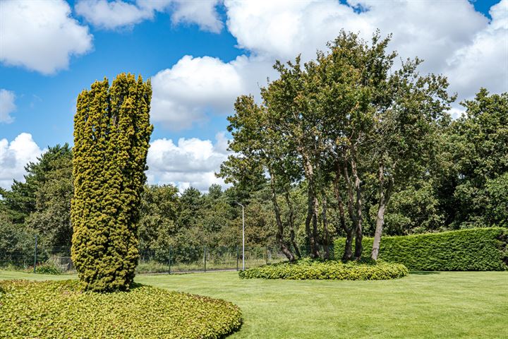 Bekijk foto 44 van Westerduinweg 16