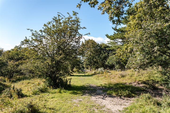 Bekijk foto 73 van Westerduinweg 16