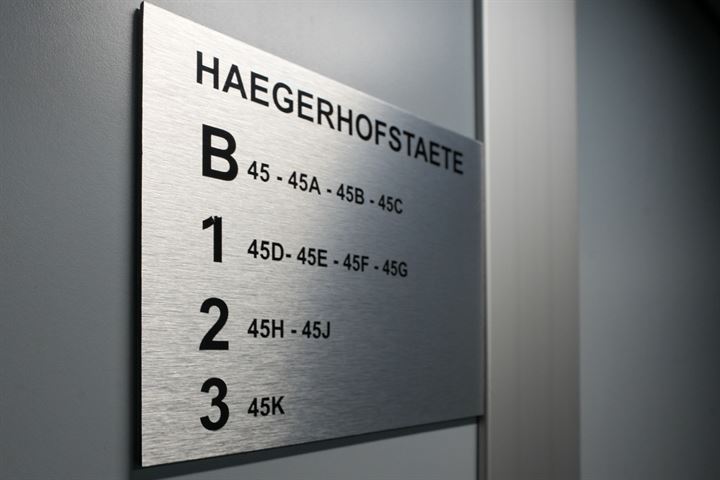 Bekijk foto 3 van Haegerhofstraat 45-E