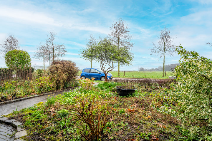 Bekijk foto 3 van Otselaan 46