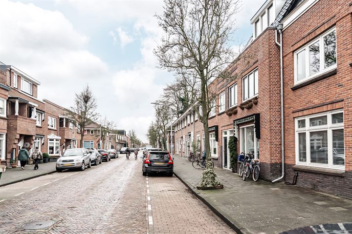 View photo 49 of Karel van Manderstraat 16