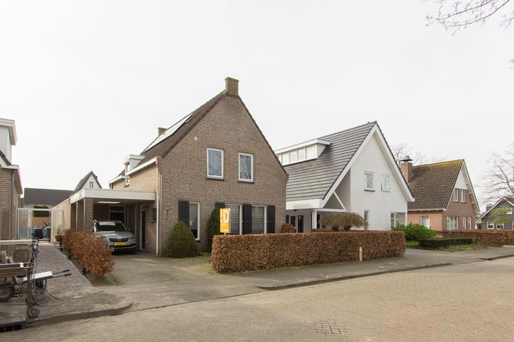 Bekijk foto 1 van Patrijs 9