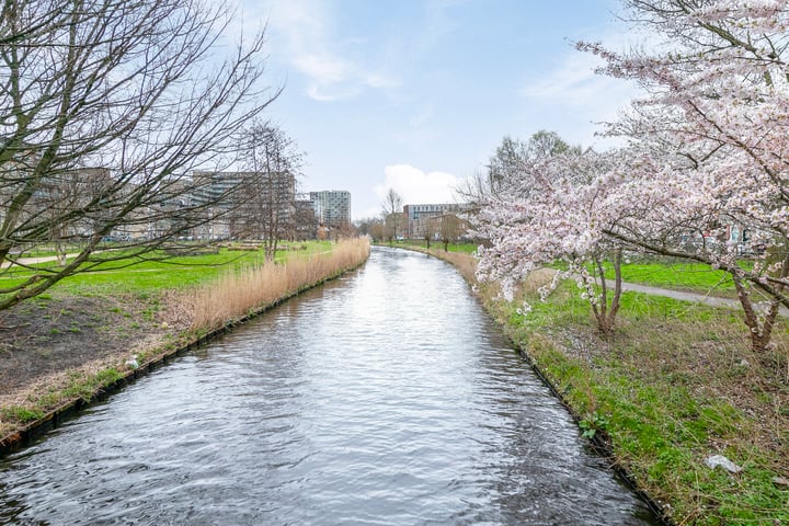 View photo 21 of Schlegelstraat 79