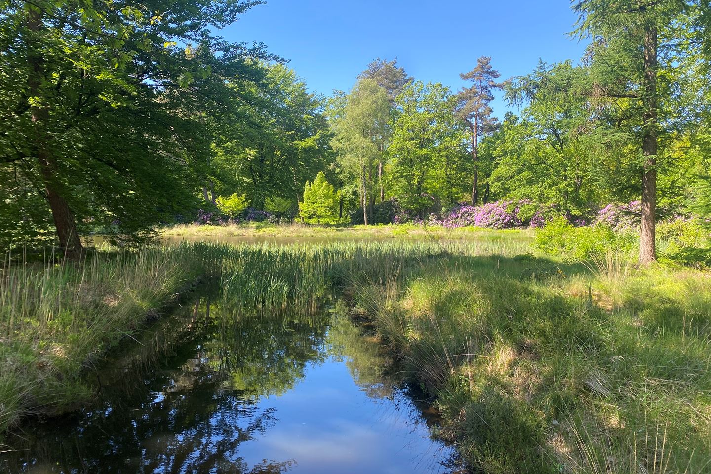 Bekijk foto 3 van Laan van Westenenk 4