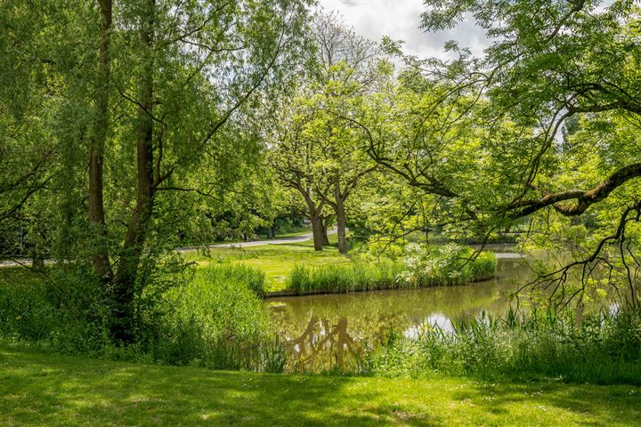 Bekijk foto 42 van Wingerdweg 259