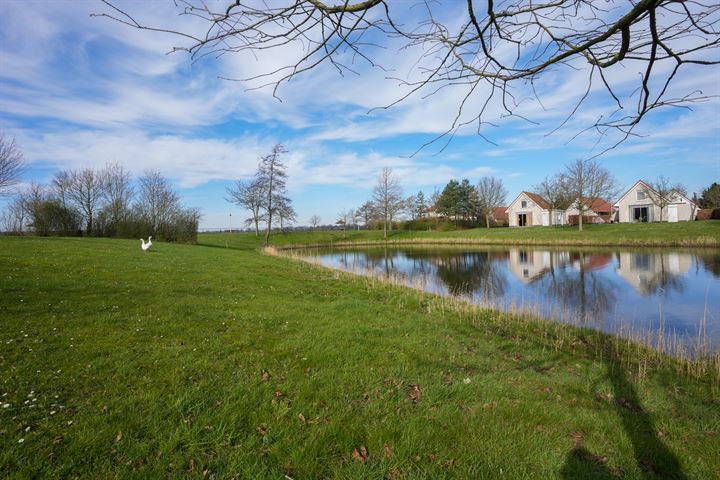 Bekijk foto 23 van Schutteheide 1-71