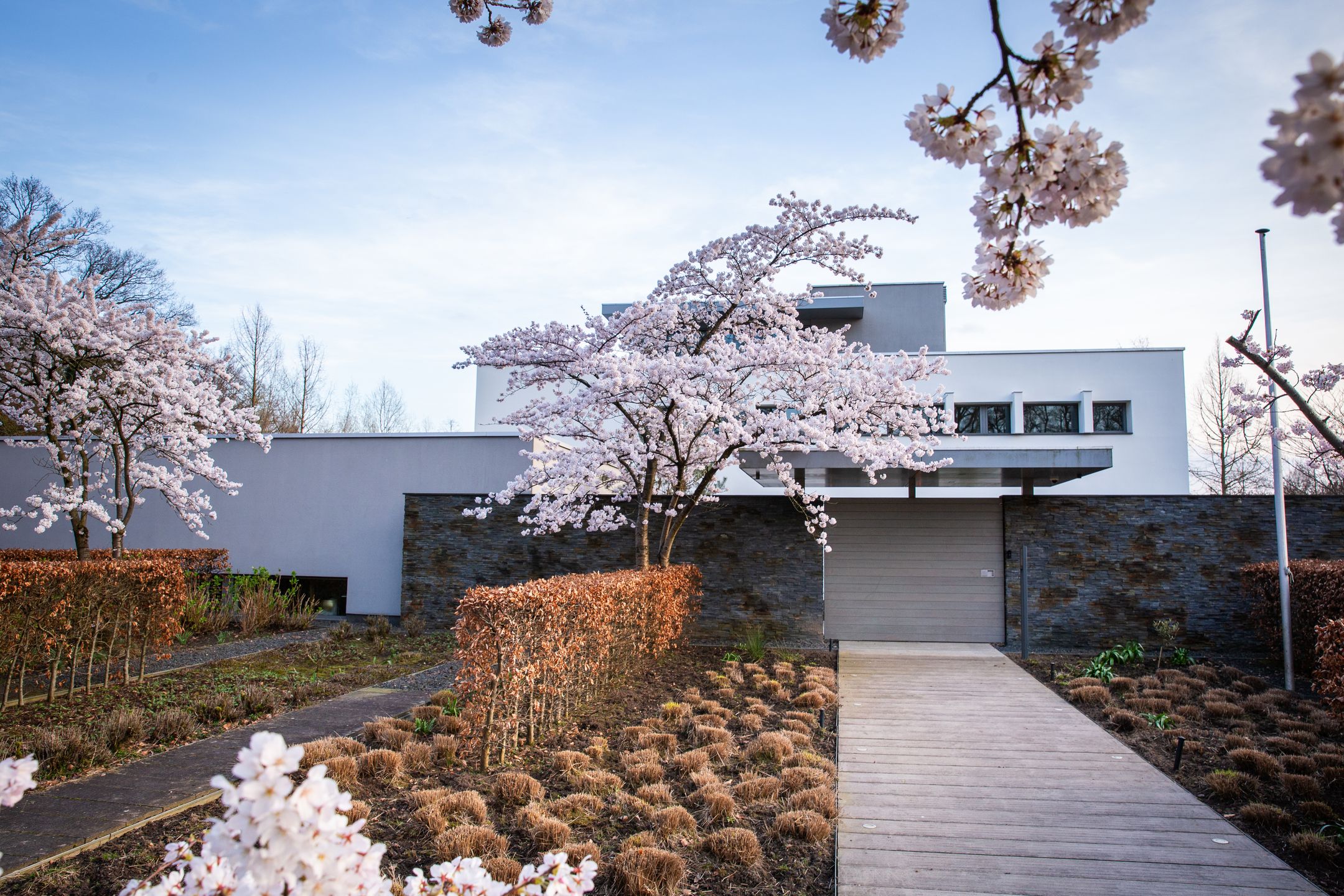 Photo 48 of Laan van Napoleon 15