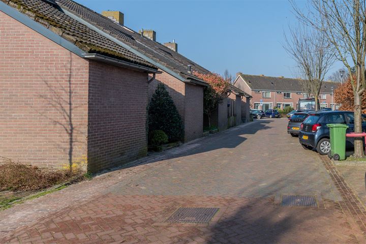 Bekijk foto 42 van de Pauw 22