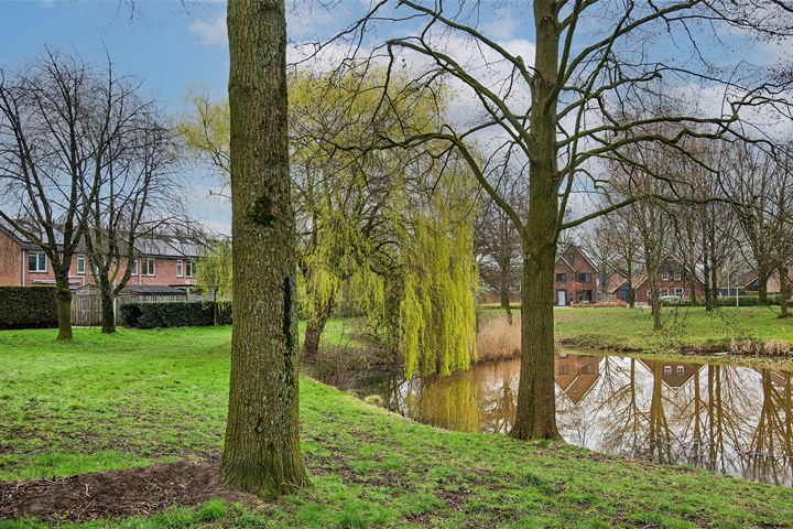 Bekijk foto 33 van Willem Royaardsstraat 103