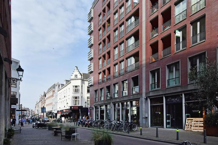 Bekijk foto 1 van Nobelstraat 4-F