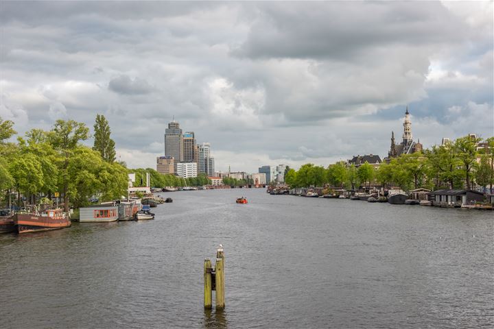 Bekijk foto 45 van Tweede Jan Steenstraat 110-HS