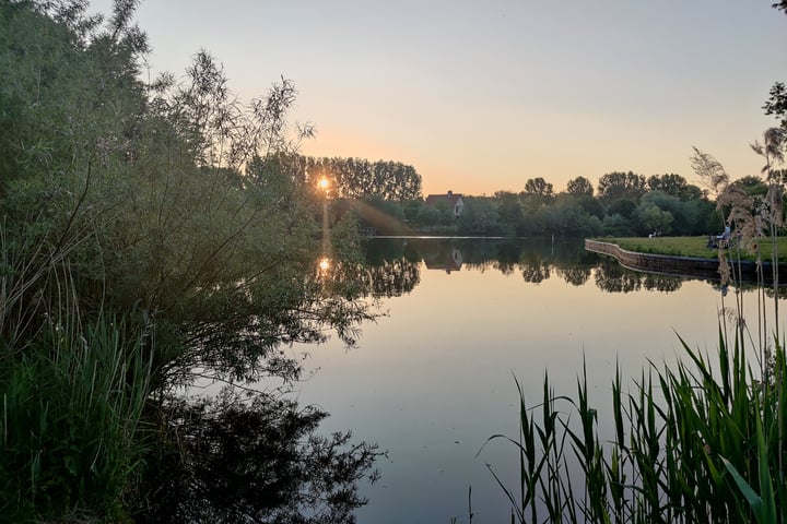 Bekijk foto 37 van Obrechtlaan 16