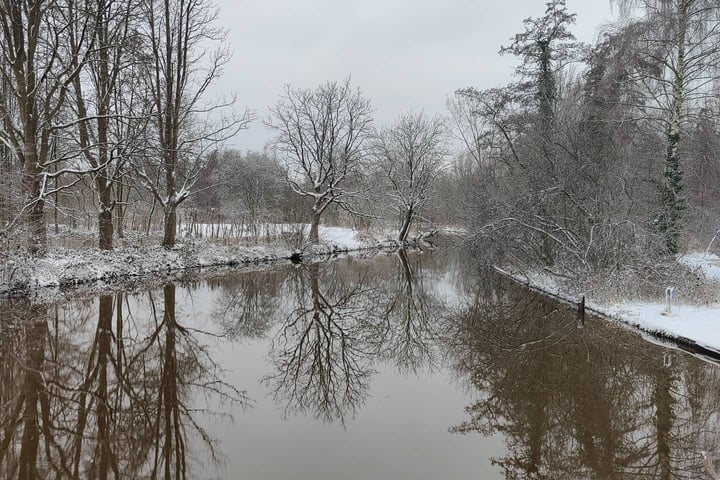 Bekijk foto 38 van Obrechtlaan 16