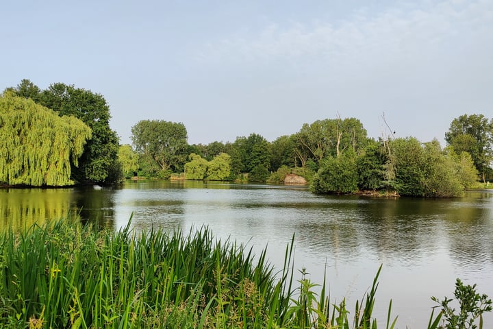 Bekijk foto 36 van Obrechtlaan 16